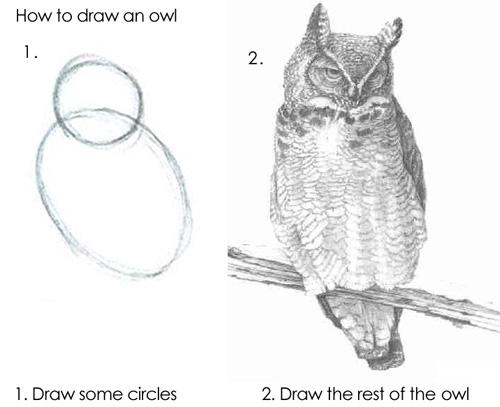 Step 1. Draw some circles. Step 2. Draw the rest of the owl
